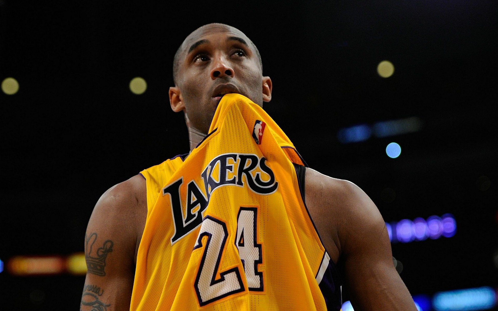 拉里伯德在 拉里伯德在